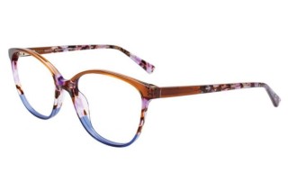 EASYCLIP EYEGLASSES